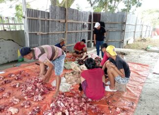 Budayakan Berkurban di Lingkungan Sekolah, Tahun Ini SMKN 1 Rejang Lebong Kurban 5 Ekor Sapi
