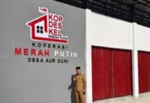 Wakil Walikota Sungai Penuh “Azhar Hamzah” Kawal Pembangunan Gerai KMP, Dorong penguatan Ekonomi Warga