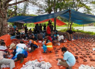 Momen Idul Adha 1447 H, PLN Indonesia Power UBP Bengkulu Salurkan 1.650 Bungkus Daging ke Masyarakat