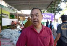 Kemenag Rejang Lebong Sembelih 13 Ekor Sapi Kurban: Wujud Kepedulian dan Semangat Berbagi di Momen Idul Adha 1447 H