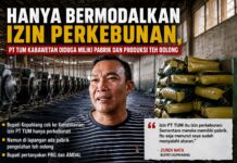 Hanya Bermodalkan Izin Perkebunan, PT TUM Kabawetan Kepahiang Diduga Operasikan Pabrik dan Produksi Teh Oolong Tanpa Izin Resmi