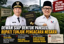 Polemik Eks PT TUM Kepahiang Kian Memanas, Dewan Siap Bentuk Pansus, Bupati Tunjuk Pengacara Negara!