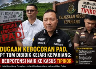 Dugaan Kebocoran PAD, PT TUM Dibidik Kejari Kepahiang: Berpotensi Naik ke Kasus Tipikor