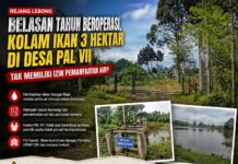 Belasan Tahun Beroperasi, Kolam Ikan 3 Hektar di Desa PAL VII Tak Memiliki Izin Pemanfaatan Air?