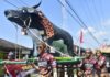 Warga Kesambe Lama Kenalkan Kearifan Lokal Lewat Karnaval dan Festival Budaya HUT RI ke-81