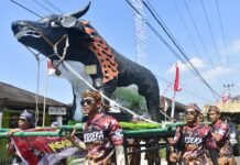 Warga Kesambe Lama Kenalkan Kearifan Lokal Lewat Karnaval dan Festival Budaya HUT RI ke-81
