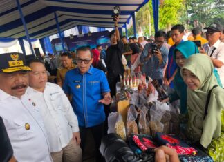 Kopi Bengkulu Mendunia, 19,2 Ton Robusta Asal Kepahiang Diekspor ke ItaliaÂ