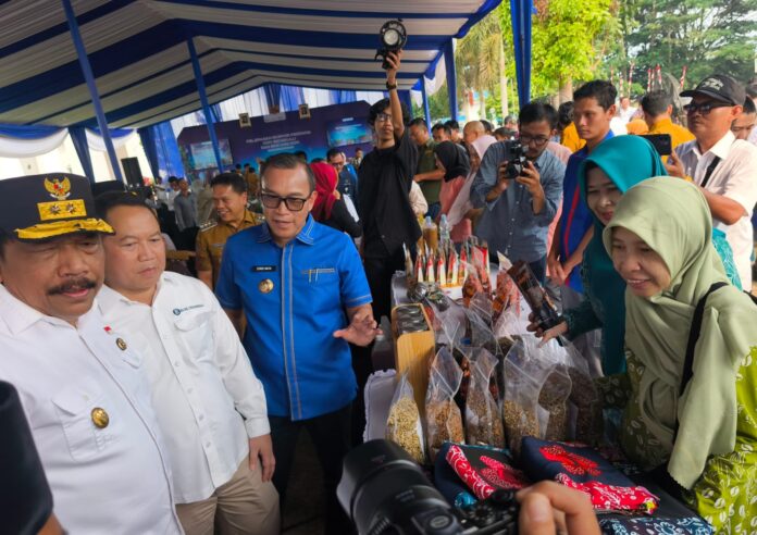 Kopi Bengkulu Mendunia, 19,2 Ton Robusta Asal Kepahiang Diekspor ke Italia 