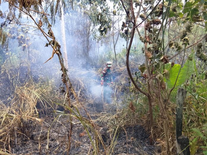 Respons Cepat Babinsa dan Warga, Kebakaran Lahan Seluas Setengah Hektare Berhasil Dicegah