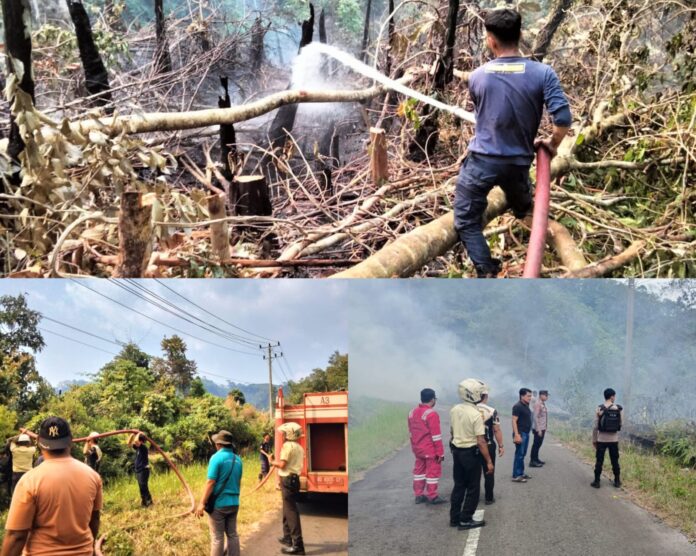 Kebakaran Lahan di PLTA Musi, PLN IP UBP Bengkulu dan Instansi di Kepahiang Gerak Cepat Padamkan Api