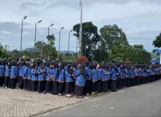 Nasib 1.725 PPPK Kepahiang di Ujung Tanduk, Pemkab Siapkan Evaluasi Kinerja Jelang Kontrak Berakhir