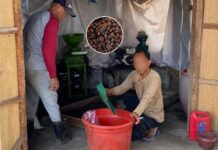 Lewat Kopi PASKO, Lapas Curup Bekali Keterampilan dan Kemandirian Warga Binaan