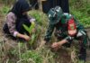 Peringati HUT Ke-81 TNI, Kodim 0409/Rejang Lebong Tanam 1.000 Pohon di Bantaran Sungai Musi
