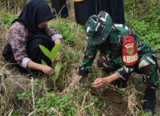 Peringati HUT Ke-81 TNI, Kodim 0409/Rejang Lebong Tanam 1.000 Pohon di Bantaran Sungai Musi