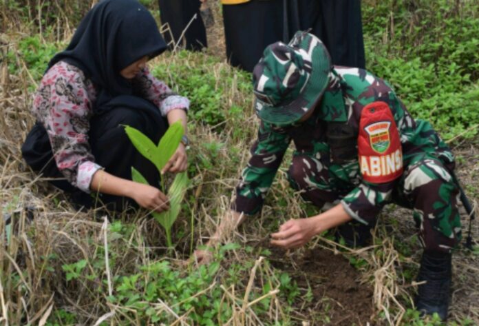 Peringati HUT Ke-81 TNI, Kodim 0409/Rejang Lebong Tanam 1.000 Pohon di Bantaran Sungai Musi